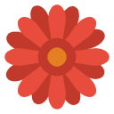 Coastal Blooms Studio Logo